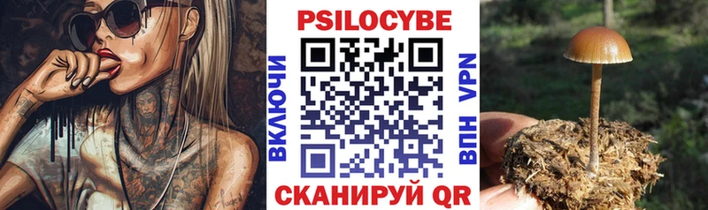 Псилоцибиновые грибы Cubensis  Купить где  Куртамыш 